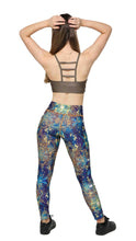 Load image into Gallery viewer, Blue and Gold Tights
